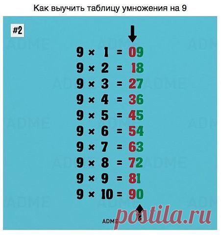 ТАКОМУ В ШКОЛЕ НАС НЕ УЧИЛИ. А ЖАЛЬ!
