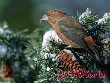 Не видевши, не поверишь... | НАШ ГОРОДОК