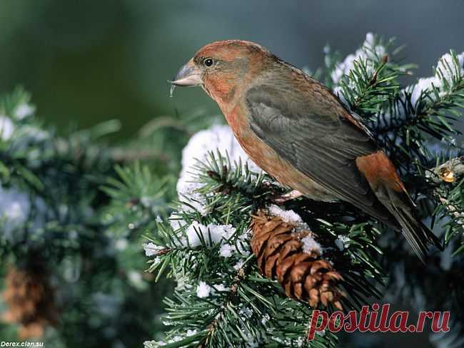 Не видевши, не поверишь... | НАШ ГОРОДОК