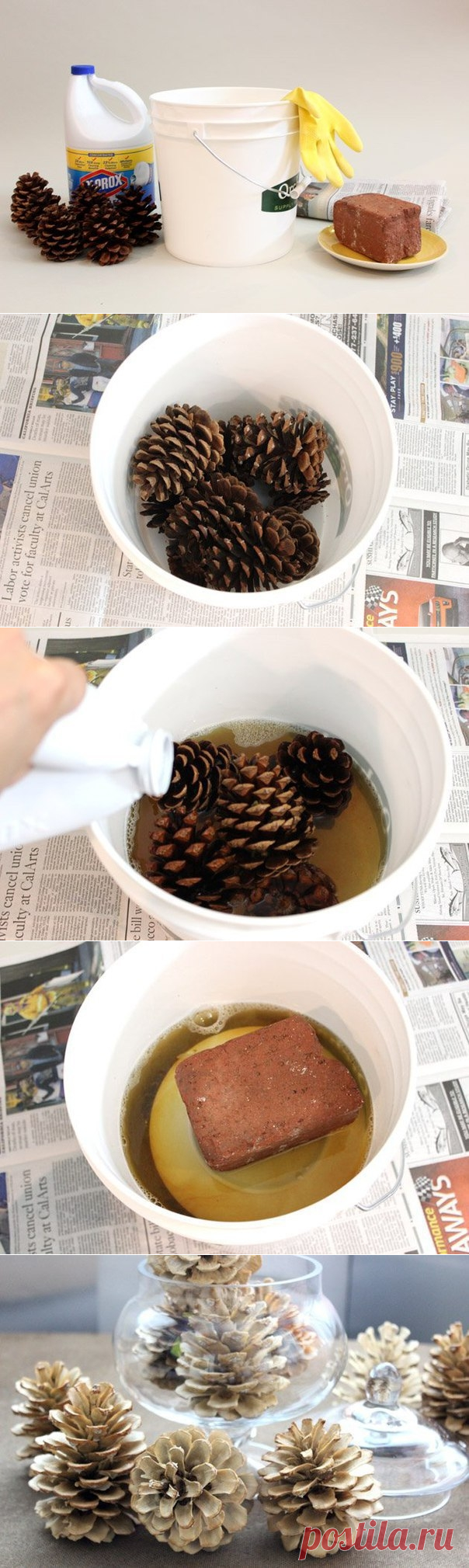 Как отбелить сосновые шишки