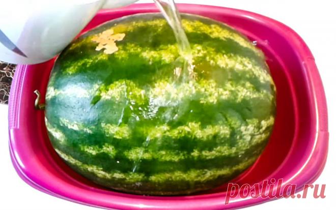 Как моментально охладить арбуз: способ старательного хозяина - Так Просто!