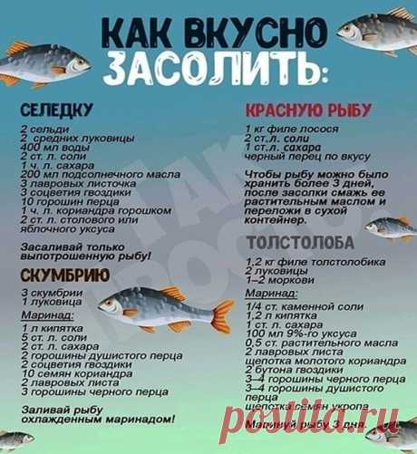 Хозяюшки, солим рыбку.
Очень вкусно! Попробуйте!