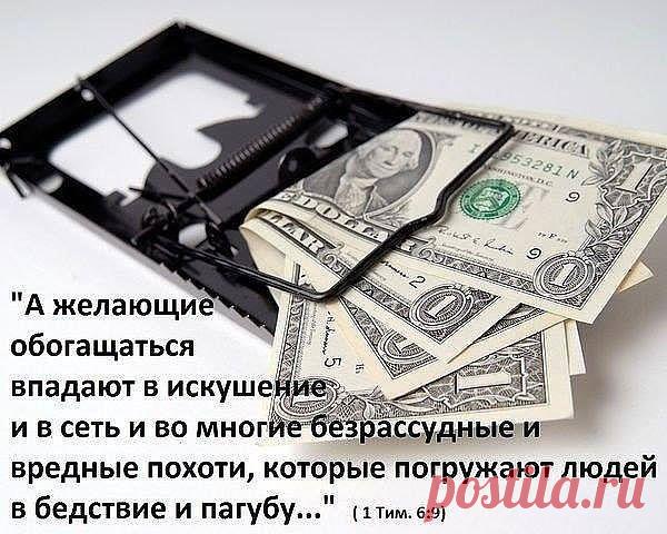 Фото пользователя Владимир, Санкт-Петербург, 51 год