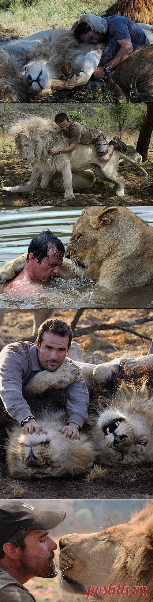 (+1) тема - Невероятная дружба 2 или "Заклинатель Львов" | Четвероногий юмор