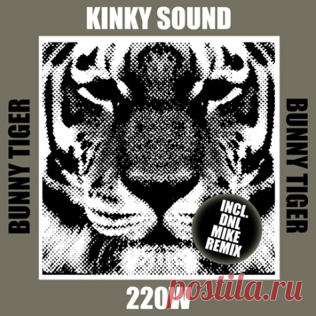 Kinky Sound – 220 W [BT195] Sharing-DB.club