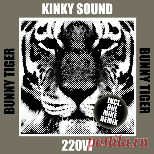 Kinky Sound – 220 W [BT195] Sharing-DB.club