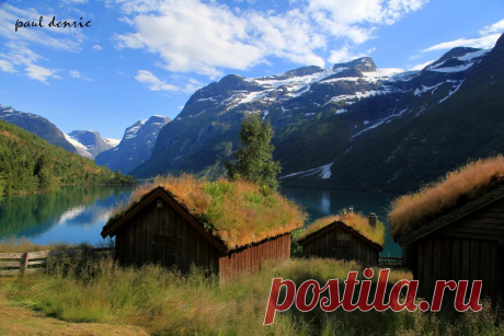 Lovatnet - Поиск в Google