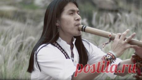 Leo Rojas - Der mit dem Wolf tanzt (Videoclip) - поиск Яндекса по видео