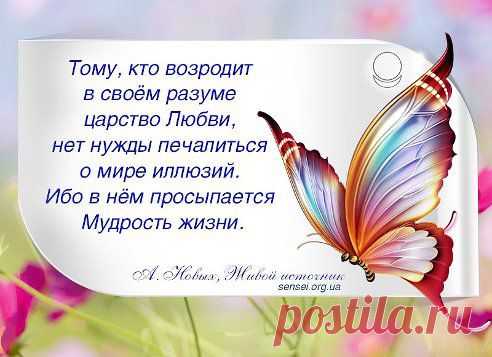 http://sensei.org.ua/