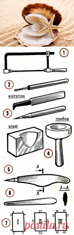 Раскрой раковину