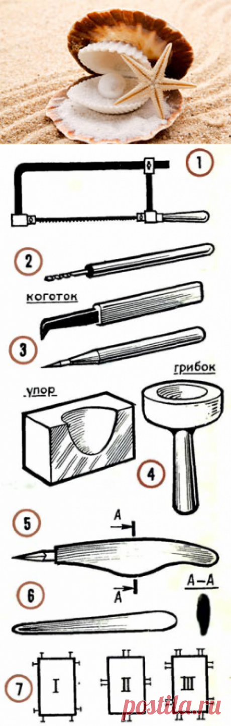 Раскрой раковину
