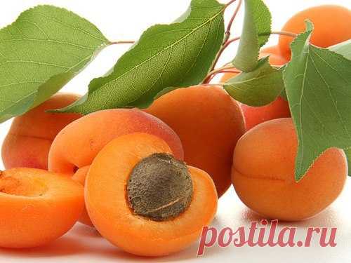 8 продуктов молодости.

• Капуста -всех видов защищает зрение и костную ткань, помогает сохранить живость ума.

• Абрикосы - богаты каротиноидами, которые снижают уровень холестерина в крови и защищают сердце, а также полезны для кожи, волос, десен и желез.
Показать полностью…