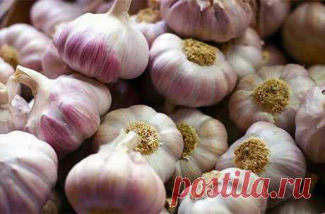 Продукты, восстанавливающие микрофлору
