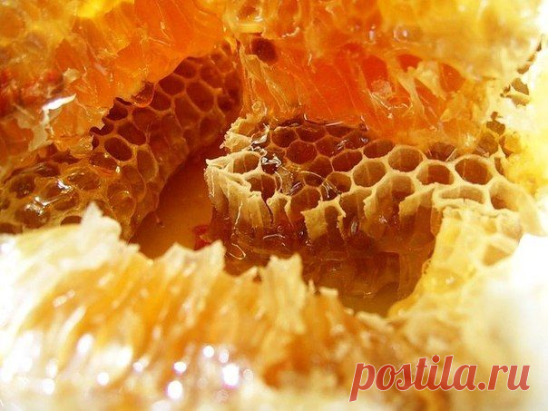 5 ПРИРОДНЫХ БИОСТИМУЛЯТОРОВ