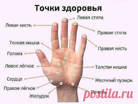 Точки здоровья. 
Сохраните себе на страницу, что бы не потерять