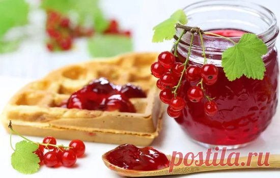 Рецепты