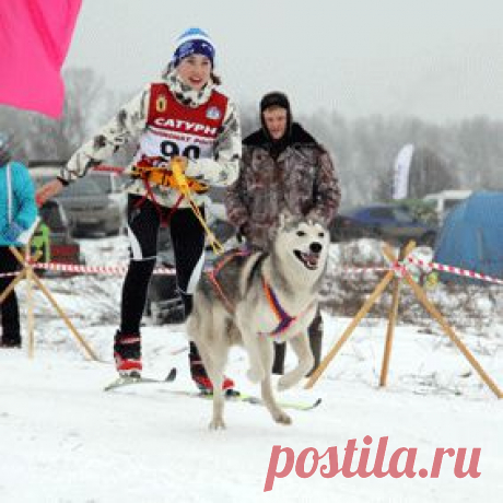 Traditionally, the left bank of the city in February are Winter fun annual festival