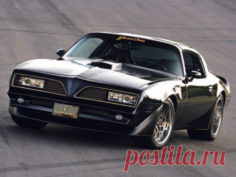 1977 Pontiac Firebird Trans Am / Только машины