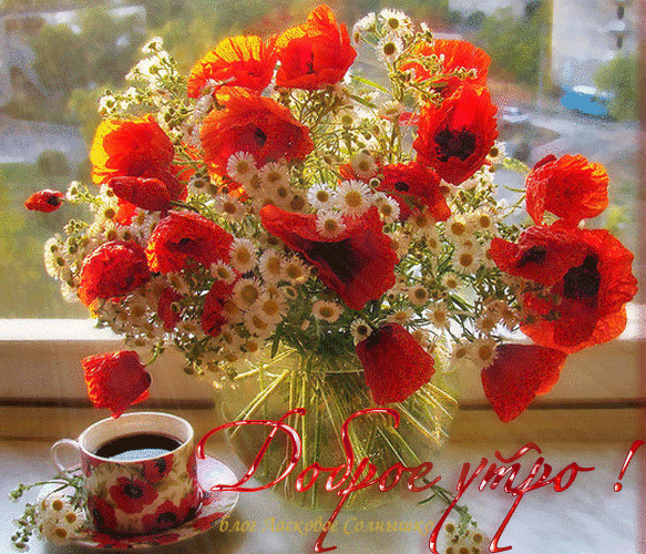 Доброе утро !