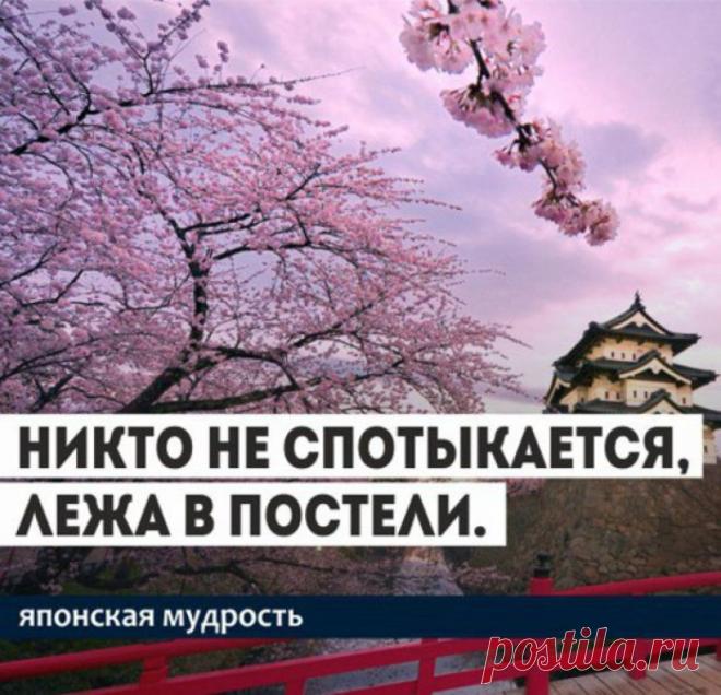 Японская мудрость | uDuba.com