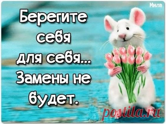 Ежедневно более 1000 интересных записей на различные темы. Круглосуточный источник хорошего настроения!