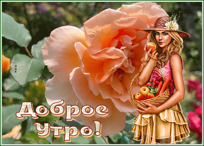 Приятная картинка доброе утро с персиковой розой