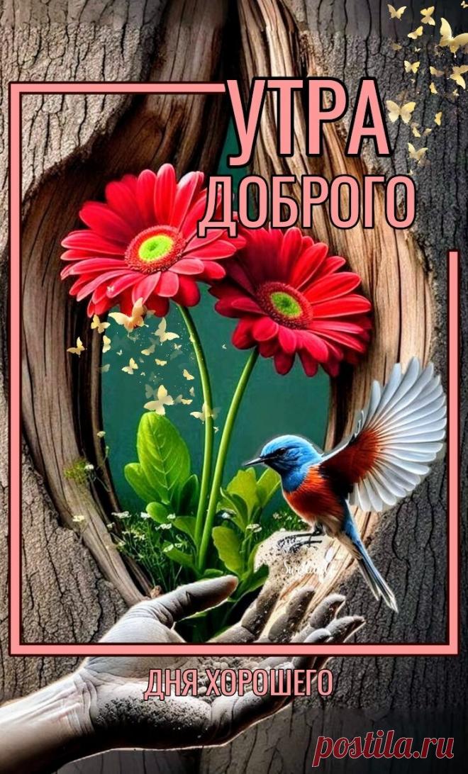 Доброе утро