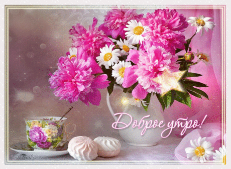 С добрым утром! Просыпайся!
Пусть подарит радость день.
Бодро миру улыбайся,
Позабыв совсем про лень.