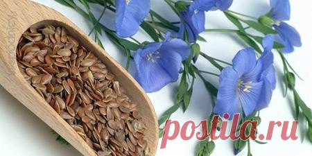 25 продуктов, которые спасут ваше здоровье и фигуру — Болтай