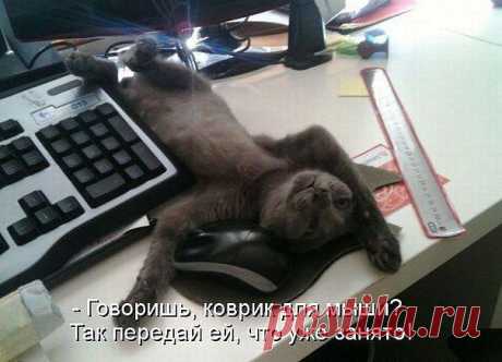 (80) Одноклассники