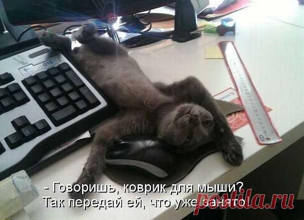 (80) Одноклассники