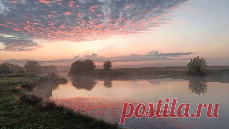 Река Сейм, Курская область, осень, 2023.