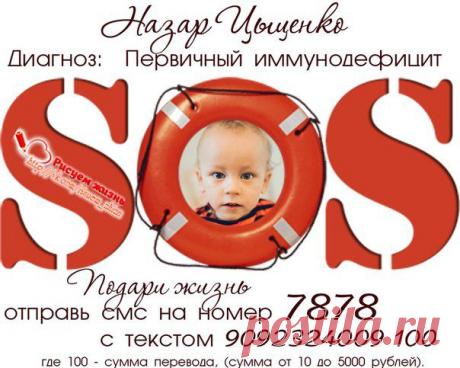 РИСУЕМ ЖИЗНЬ! Назар Цыценко. Срочный сбор!