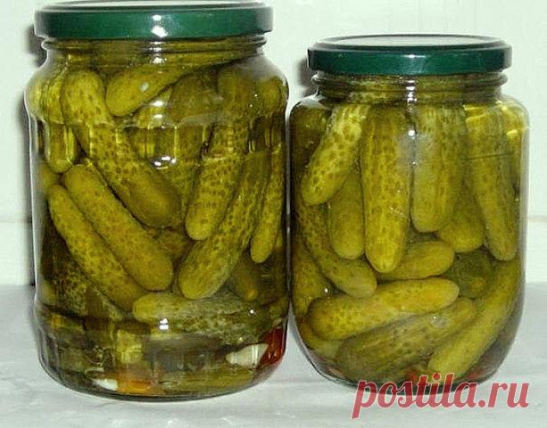 КОРНИШОНЫ МАРИНОВАННЫЕ

Ингредиенты на 1 литровую банку:

Огурцы мелкие (сколько влезет)

Вода

1 ст. л. соли

2-2,5 ст. л. сахара

3 ст. л. 9% уксуса

2 зонтика укропа

1 лавровый лист

По 4 листа чёрной смородины и вишни

Кусочек листа хрена

Небольшой кусочек перца чили

5 горошин душистого перца

5 горошин чёрного перца

1 зубчик чеснока

Щепотка зёрен горчицы

Приготовление

Огурцы тщательно помыть и залить холодной водой не более, чем на 6 часов. Промыть огурцы ещё р...