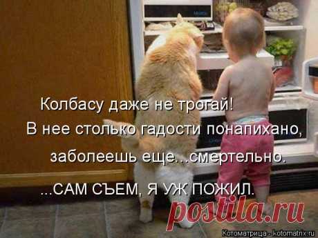 Котоматрица: Круть