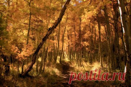 Down The Golden Path by Donna Kennedy