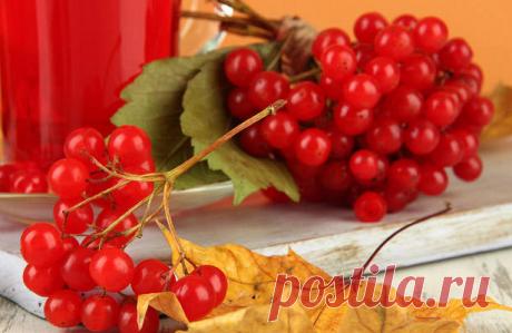 Хитрости и секреты заготовок из калины — Рамблер/женский
