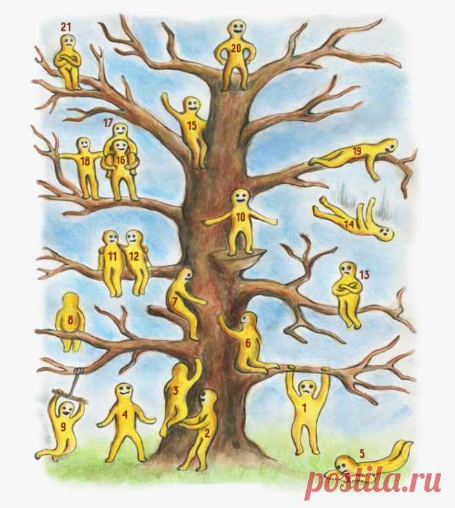 Где вы на этом дереве? Быстрый тест на определение эмоционального состояния – Фитнес для мозга