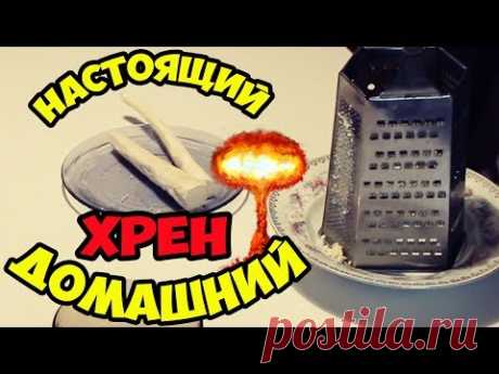 Рецепт изготовления хрена. Приготовление столового хрена – лучшие рецепты. Хрен со свекольным соком
