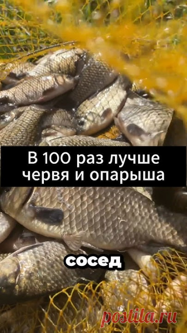 В 100 РАЗ ЛУЧШЕ ЧЕРВЯ И ОПАРЫША