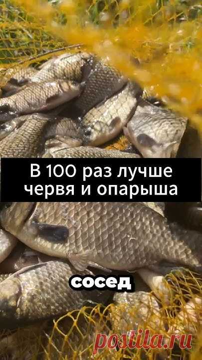 В 100 РАЗ ЛУЧШЕ ЧЕРВЯ И ОПАРЫША