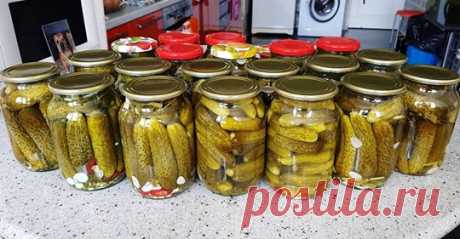 СТРАНА САЛАТОВ И ЗАКУСОК