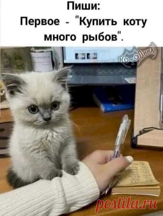 048b3ec7.jpg (526×694)