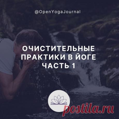 Жизнь в современном обществе, особенно в мегаполисах, приводит к загрязнению и угнетению нашего организма. Это происходит в результате употребления некачественной пищи, недостатка движений, большого количества ненужной информации, неблагоприятной экологии. В результате все силы идут на защиту организма от негативных последствий такого образа жизни. В Йоге считается, что чем чище наш организм, тем лучше мы способны понять чрезвычайно важные разделы Йоги и продвинуться на пути самопознания.