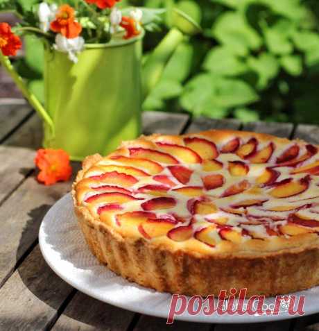 Пирог с нектаринами и творожно-сметанной заливкой – Рецепт пошагово с фото