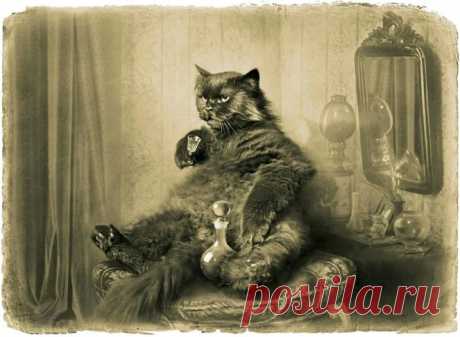 Google+