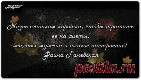 Жизненная правда в картинках | ОПТИМИСТ