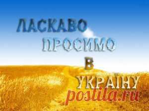 Сирийские беженцы: курс на Восток? | FutuRealist