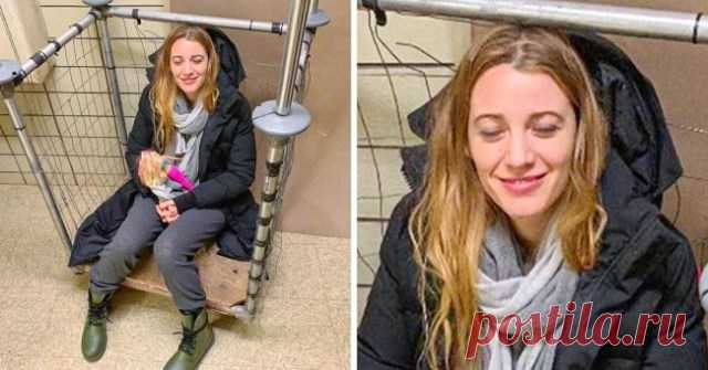 Райан Рейнольдс поздравил жену с днем рождения серией ее фото. Но это совсем не так мило, как кажется . Милая Я