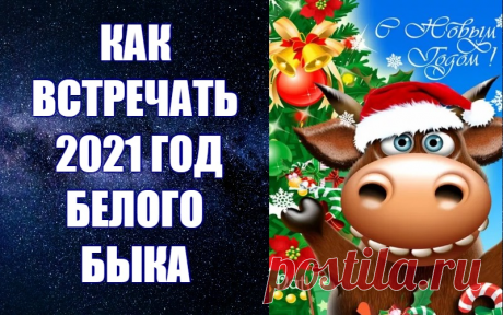 КАК ВСТРЕЧАТЬ 2021 ГОД БЕЛОГО МЕТАЛЛИЧЕСКОГО БЫКА. Что надеть, что приготовить, как подготовиться -